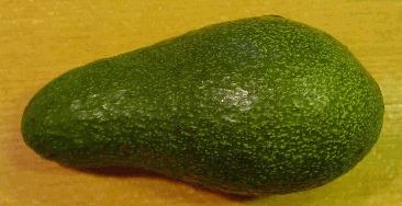 Avocado