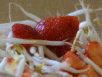 Exotischer Mungosprossensalat mit Erdbeeren